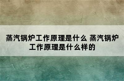 蒸汽锅炉工作原理是什么 蒸汽锅炉工作原理是什么样的